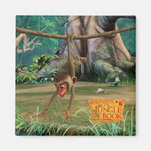 Íman Macaco do bebê