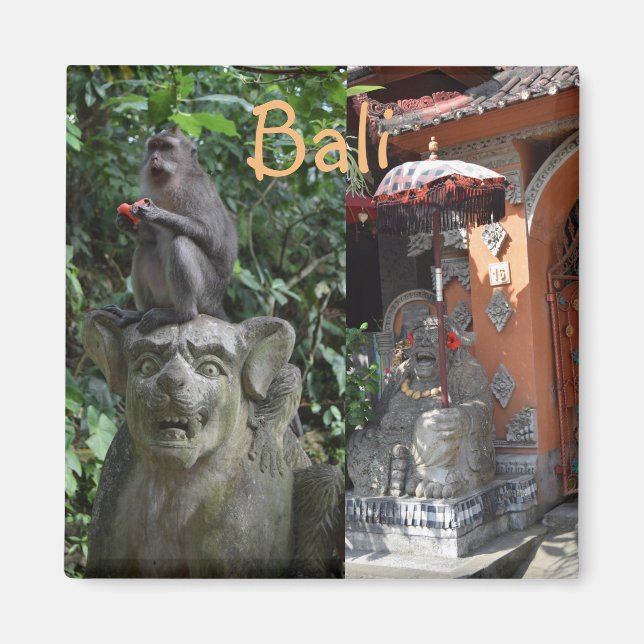 Íman Macaco do Templo Bali Indonésia e Estatutos (Frente)