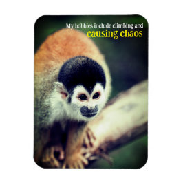 Íman Macaco esquilo na árvore