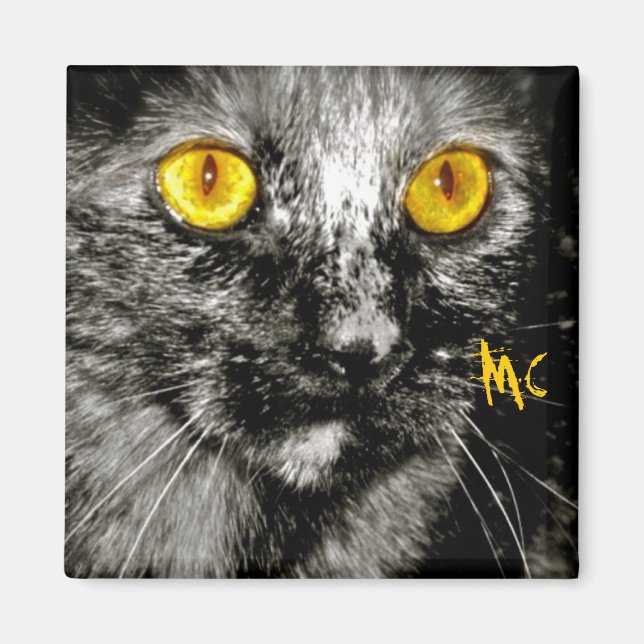 Íman Macaco Gato (Frente)