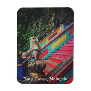Íman Macaco Macaco em Batu Cavernas, Viagem da Malásia