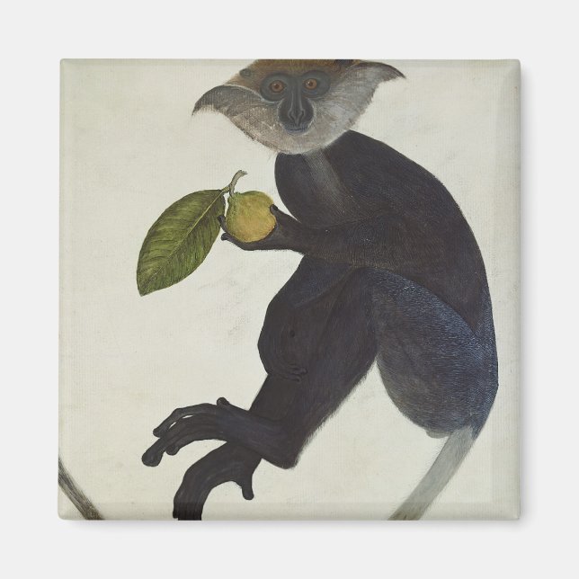 Íman Macaco Negro (Frente)