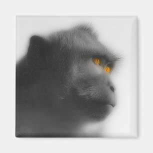 Íman Macaco Penso