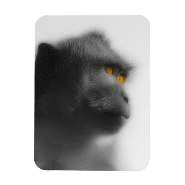 Íman Macaco Penso (Vertical)