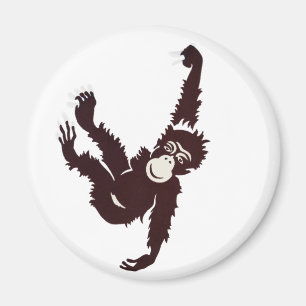 Íman Macaco Prendendo