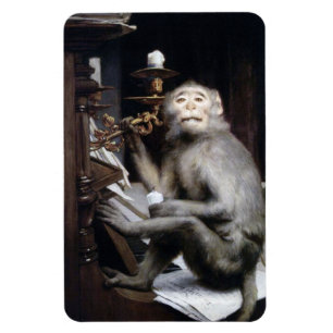 Íman Macaco sorridente