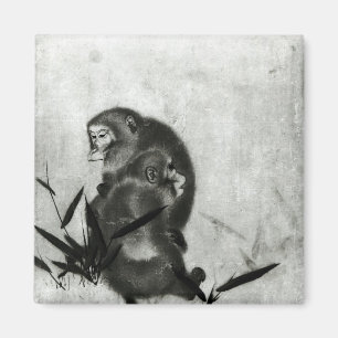 Íman Macacos