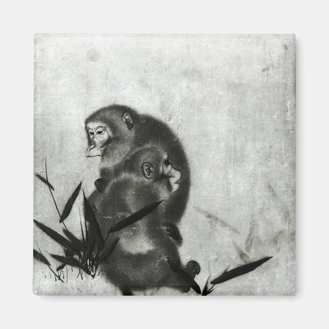 Íman Macacos (Frente)