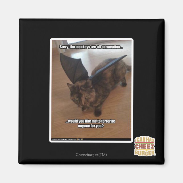 Íman Macacos de férias (Frente)