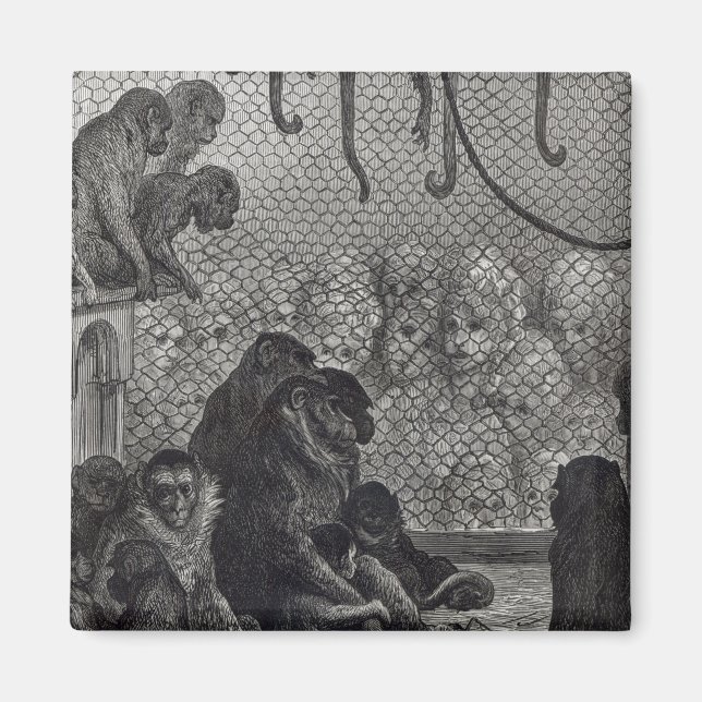 Íman Macacos de Londres (Frente)