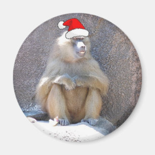Íman Macacos e babuínos de Natal