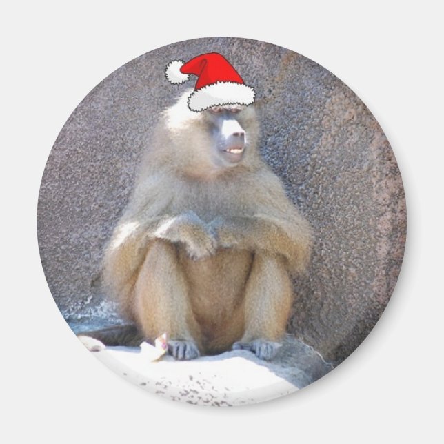 Íman Macacos e babuínos de Natal (Frente)