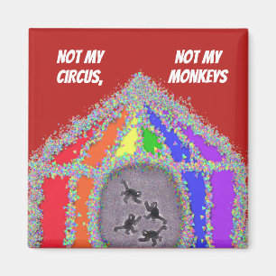 Íman Macacos engraçados