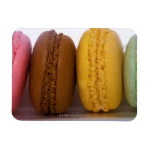 Íman Macarons franceses importados do gourmet