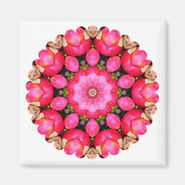 ÍMAN MAÇÃS (Frente)