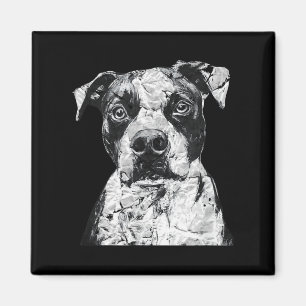 Íman Maçãs Cachorros Com Cara Escuridão Sobre Os Homens
