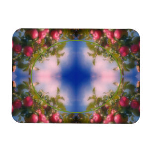 Íman Maçãs Vermelhas No Quadro Da Árvore Adicionar Sua 