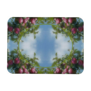 Íman Maçãs Vermelhas No Quadro Da Árvore Adicionar Sua 