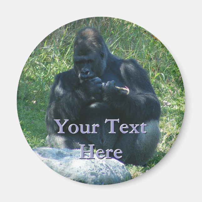 Íman Macaw Magnet (Frente)