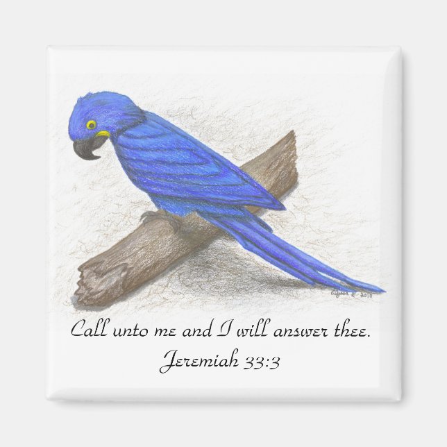 Íman Macaw Magnet (Frente)