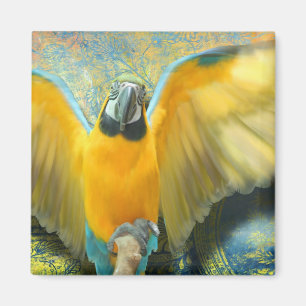 Íman Macaw Magnet