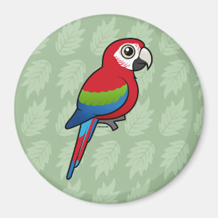 Íman Macaw Verde-voado