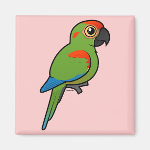 Íman Macaw Vermelho-fronteado