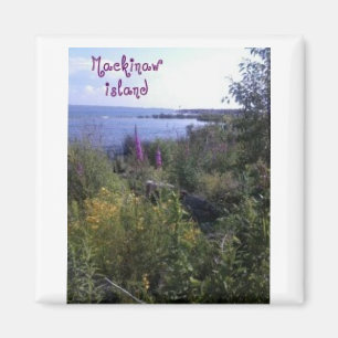 Íman Mackinaw Island Magnet