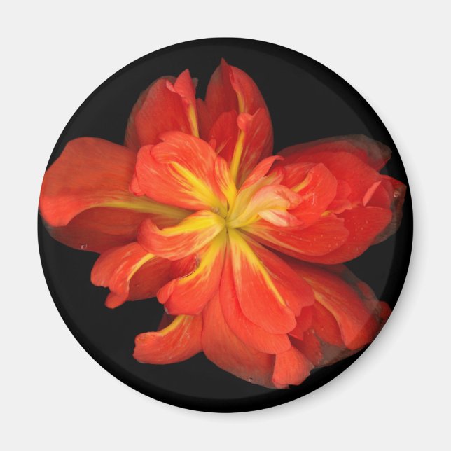 Íman Macro de Begonia Laranja Vibrante (Frente)