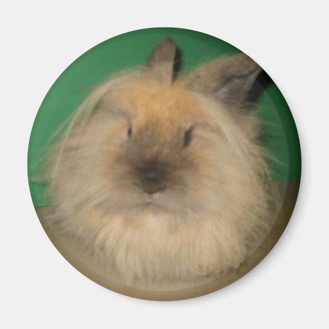 Íman Mad Bunny (Frente)