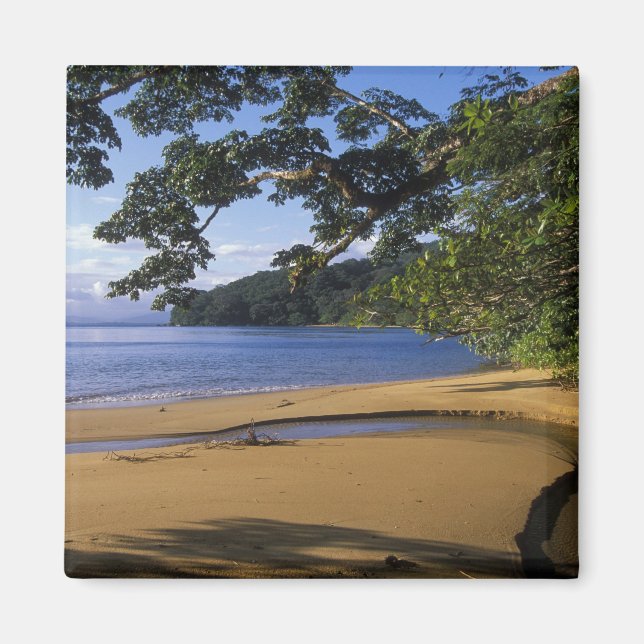 Íman Madagáscar, Reserva Especial de Nosy Mangabe, em (Frente)