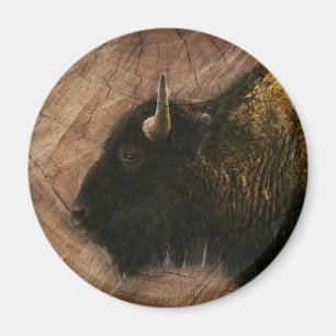 Íman Madeira Bison Buffalo