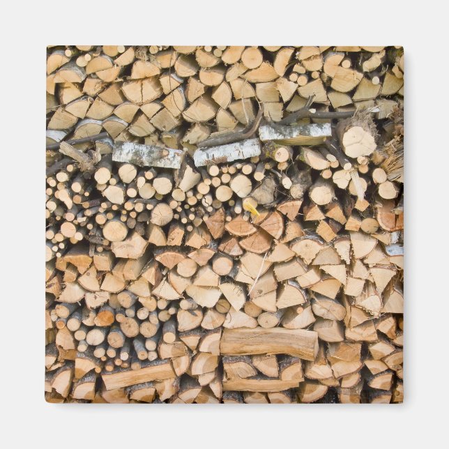 Íman Madeira cortada num ímã (Frente)