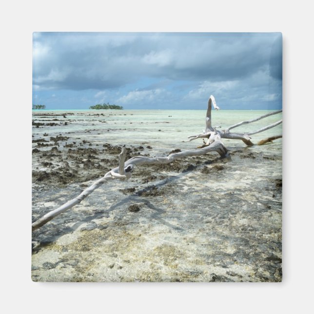 Íman Madeira de morto no ímã do Pacífico (Frente)