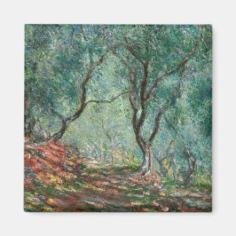 Íman Madeira de oliveira nos Jardins Moreno (por Monet)