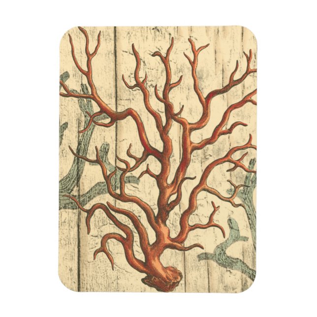 Íman Madeira e coral pequeno (Vertical)