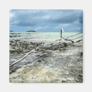 Íman Madeira inoperante no ímã pacífico