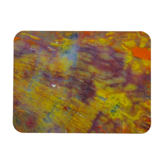 Íman Madeira Petrificada (Horizontal)