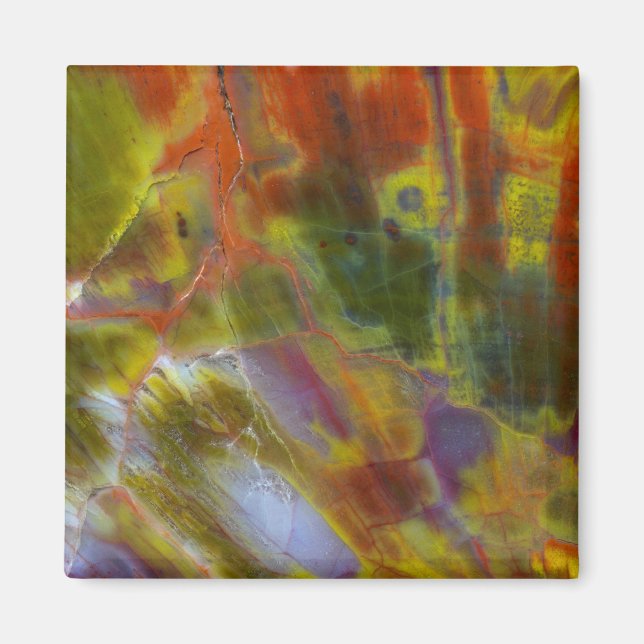 Íman Madeira Petrificada Arco-íris (Frente)