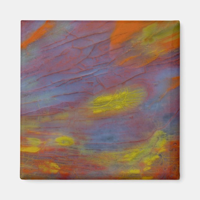 Íman Madeira Petrificada Close-Up (Frente)