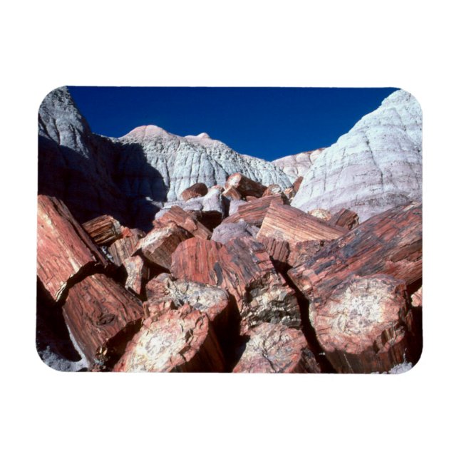 Íman Madeira Petrificada, Floresta Petrificada NP, Ariz (Horizontal)