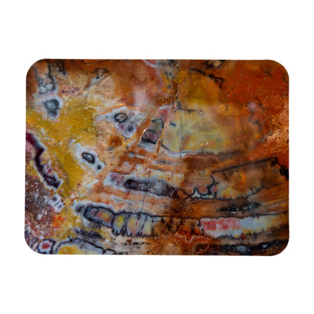 Íman Madeira Petrificada Marrom (Horizontal)