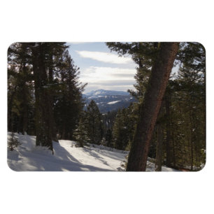 Íman Madison Mountain em inverno em Montana