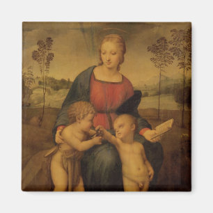 Íman Madonna do Goldfinch, c.1506