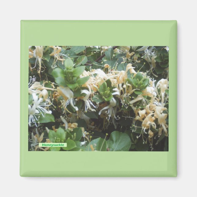 Íman Madressilva em Flor (Frente)