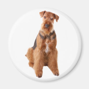 Íman Mãe de cachorro fofo amante de Airedale Terrier
