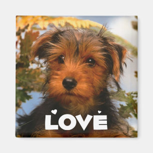 Íman Mãe de cachorro fofo amante de Airedale Terrier