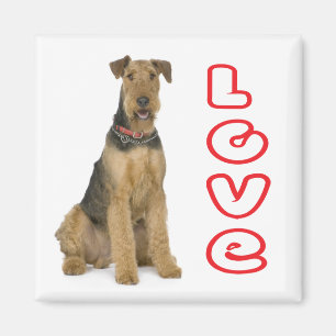 Íman Mãe de cachorro fofo amante de Airedale Terrier