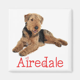 Íman Mãe de cachorro fofo amante de Airedale Terrier