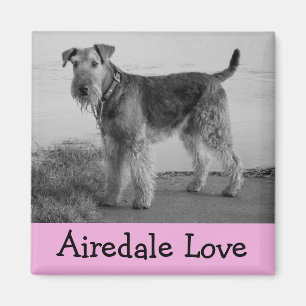Íman Mãe de cachorro fofo amante de Airedale Terrier